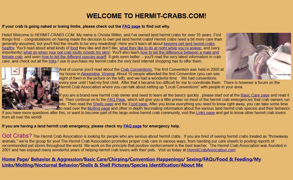 HERMIT-CRABS.COM. Your hermit crab care headquarters!