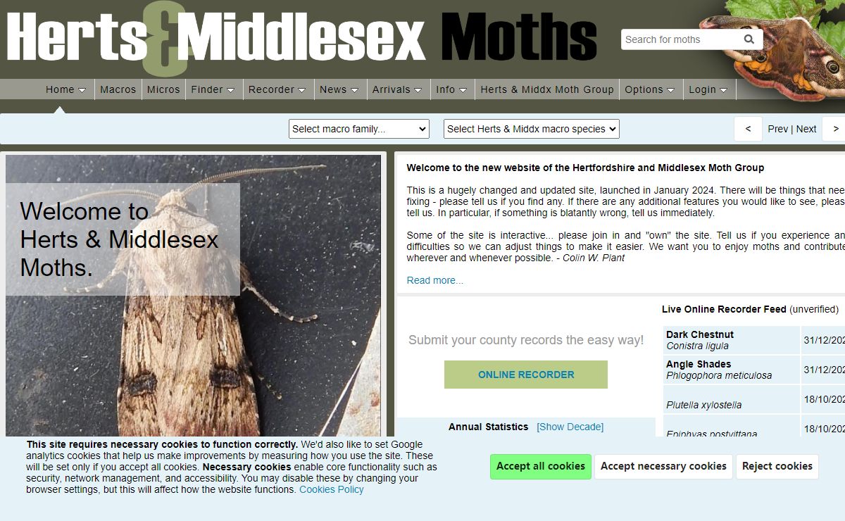 Herts & Middlesex Moths