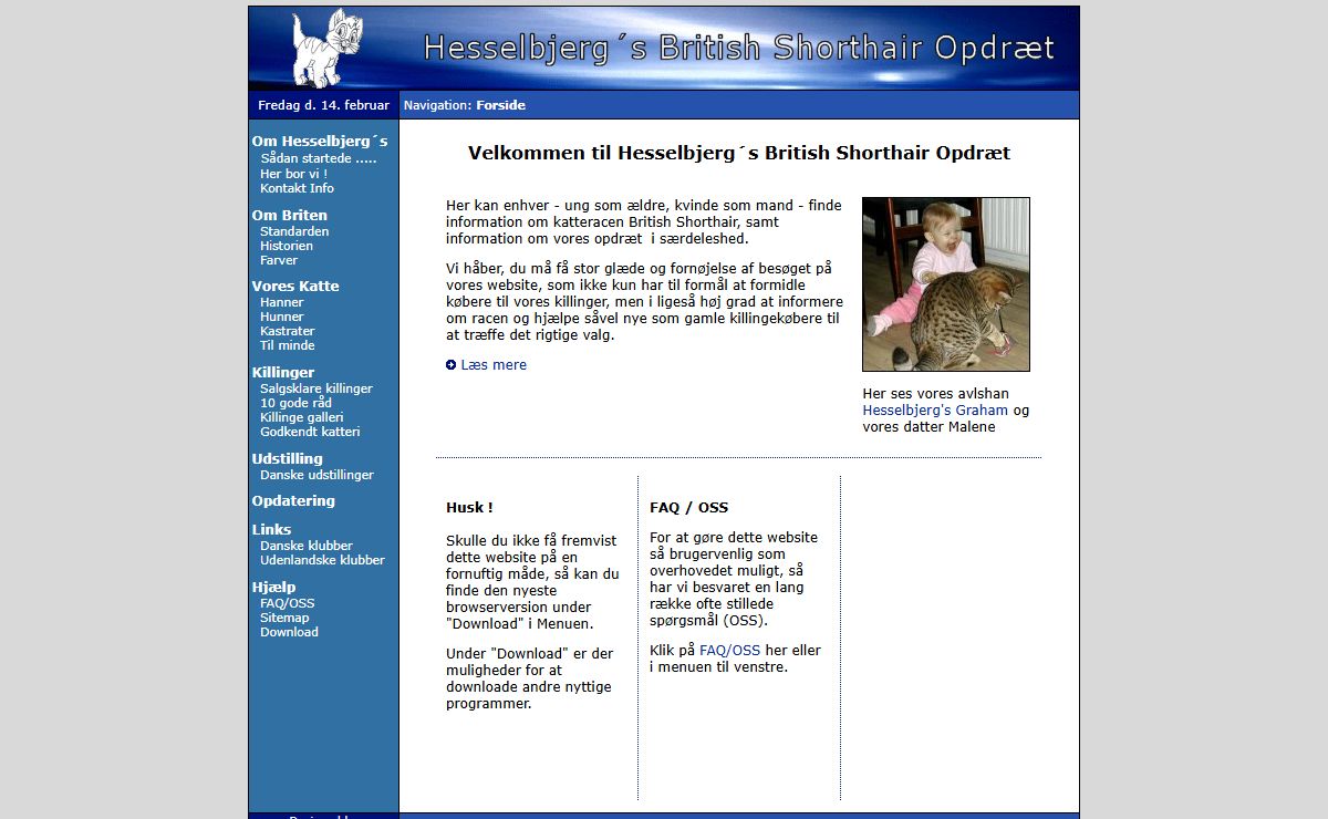 Hesselbjerg's British Shorthair Opdræt