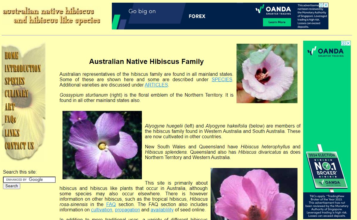 hibiscus.org - Australian native hibiscus and hibiscus like species of Malvaceae including Alyogynes and Gossypium