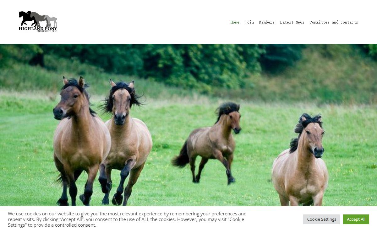 Highland Pony Enthusiasts Club - Highland Pony Enthusiasts Club