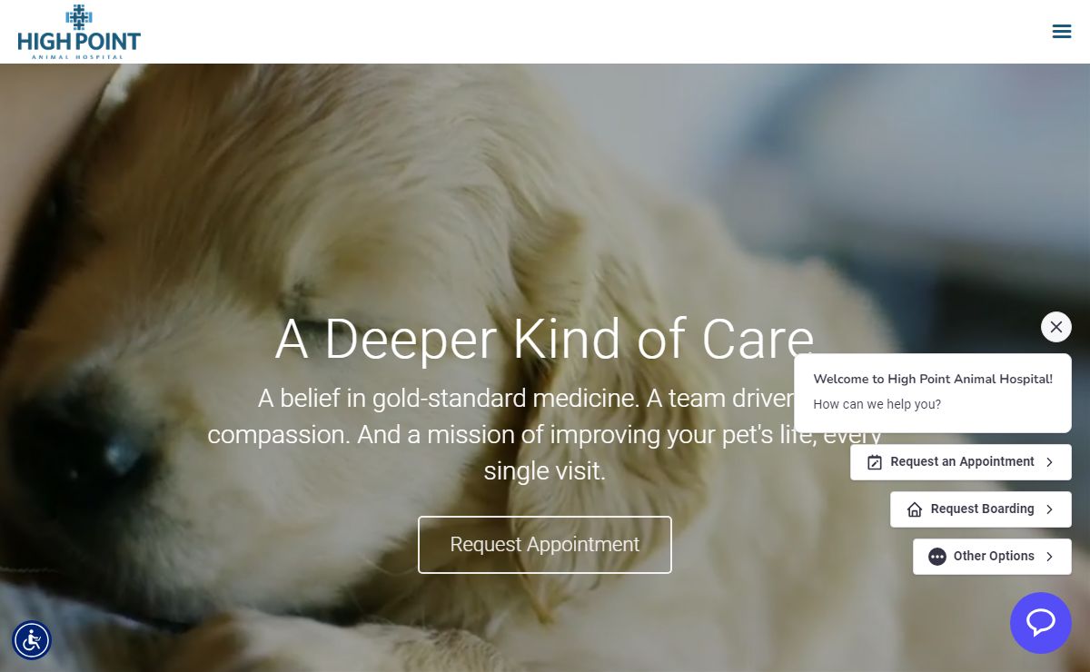 Veterinarian in Plano | Vet Near You | High Point Animal Clinic