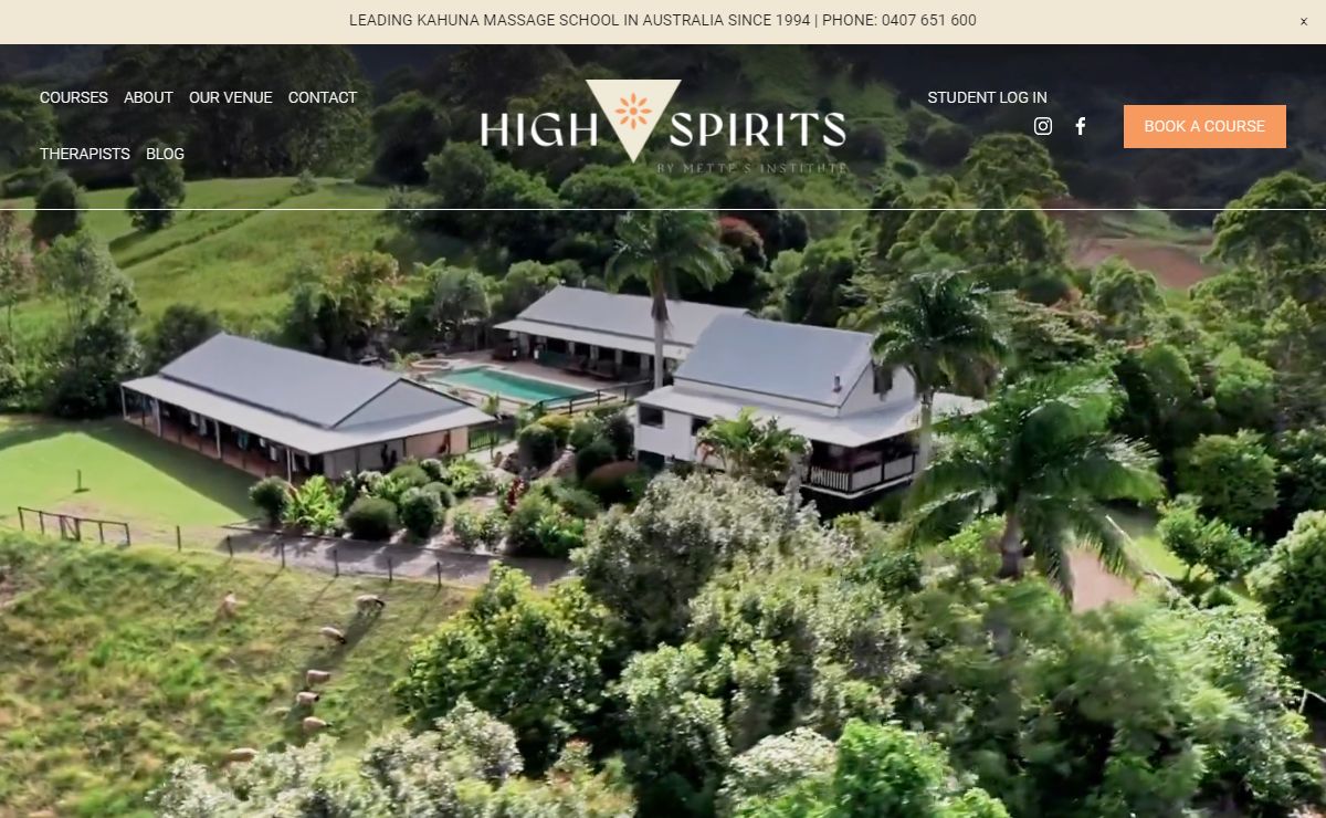 High Spirits by Mette's Institute