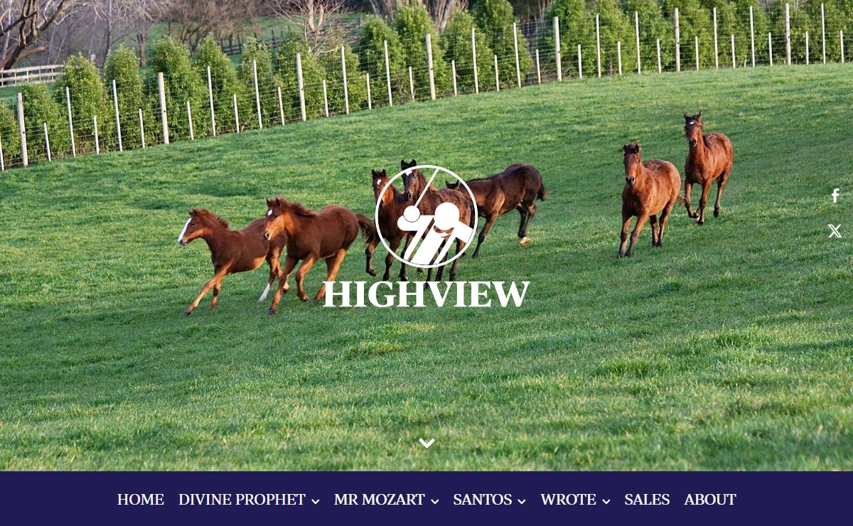 Waikato's quality thoroughbred farm | Highview