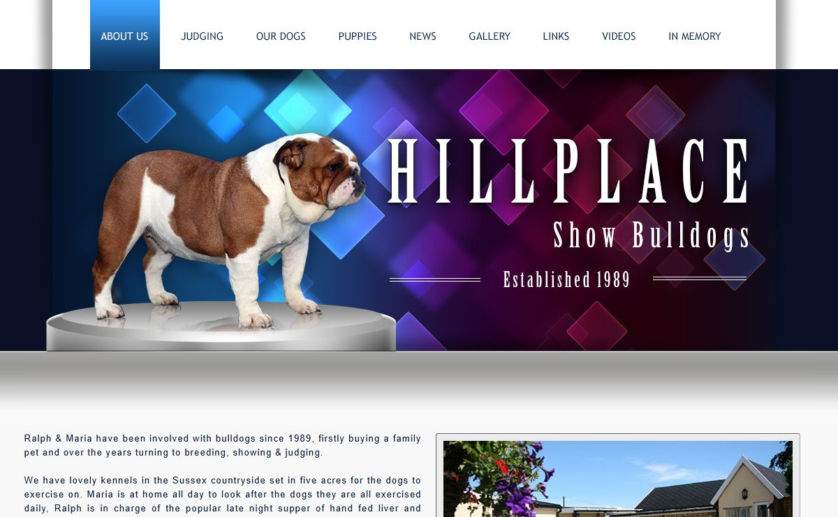 HILLPLACE SHOW BULLDOGS.