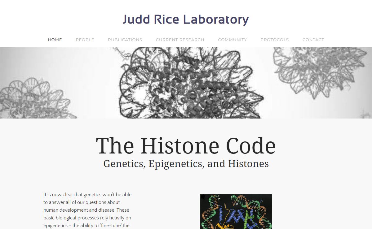 Judd Rice Laboratory - HOME