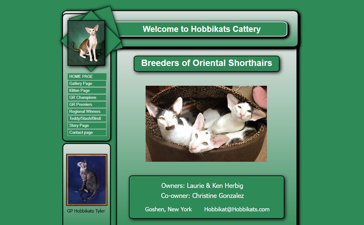 Hobbikats Cattery, Breeders of Oriental Shorthair