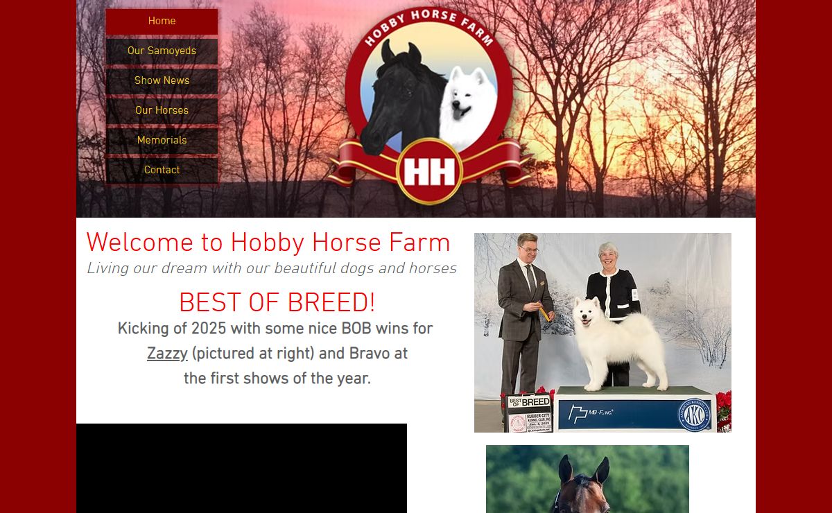 Home | Hobbyhorsefarm