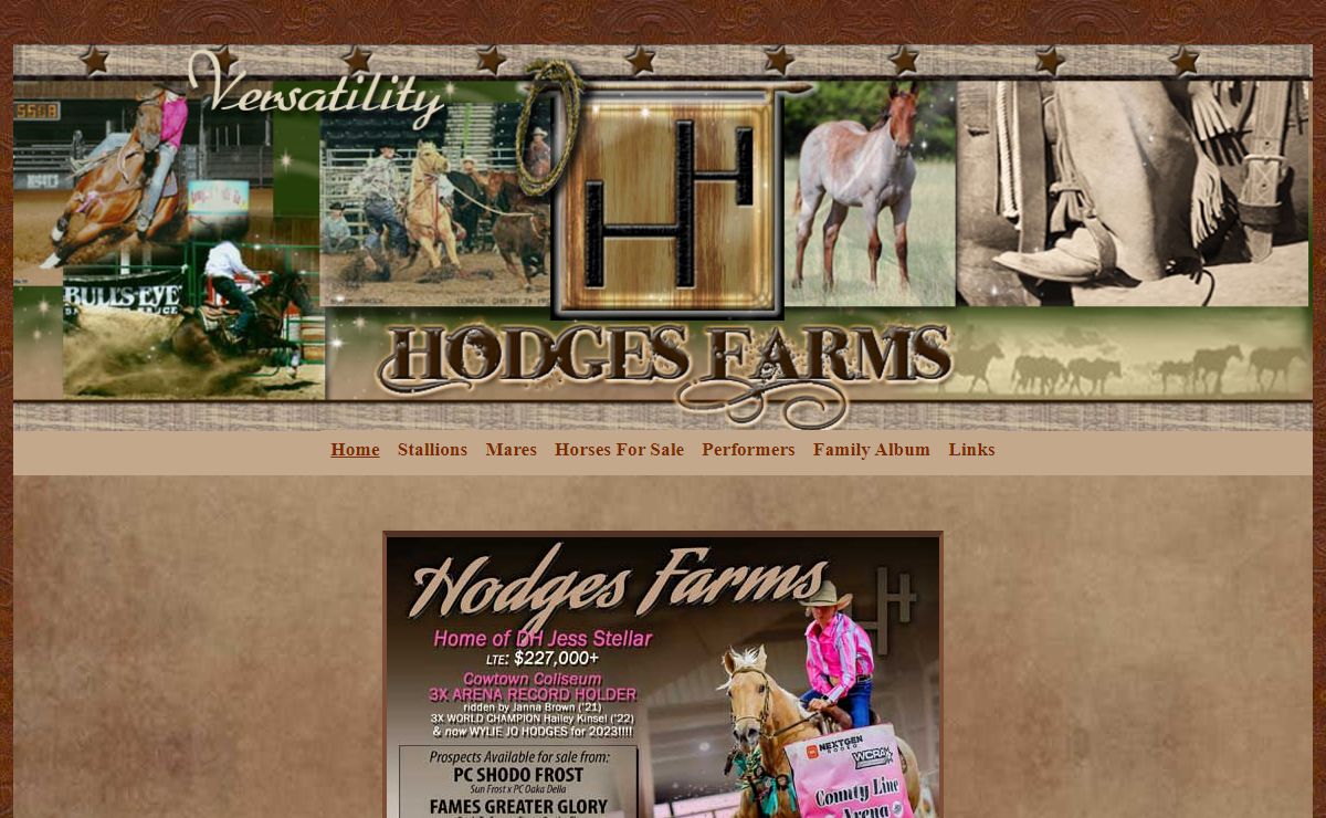 Roping Barrel Racing Quarter Horses Sale Stallions Driftwood Sun Frost Texas
