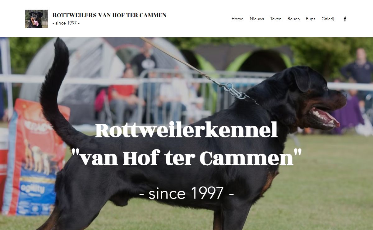 Hof ter Cammen Rottweilers | kwaliteit | Opwijk, België