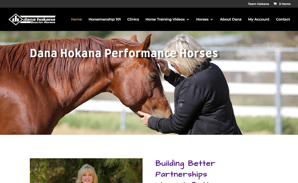 Dana Hokana Quarter Horses | Horse Trainer and Clinician