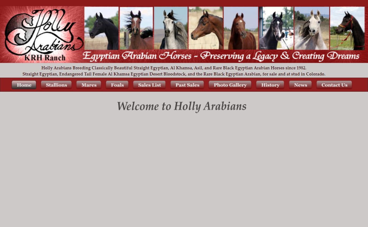 Welcome to Holly Arabians Straight Egyptian Asil Arabian Horses