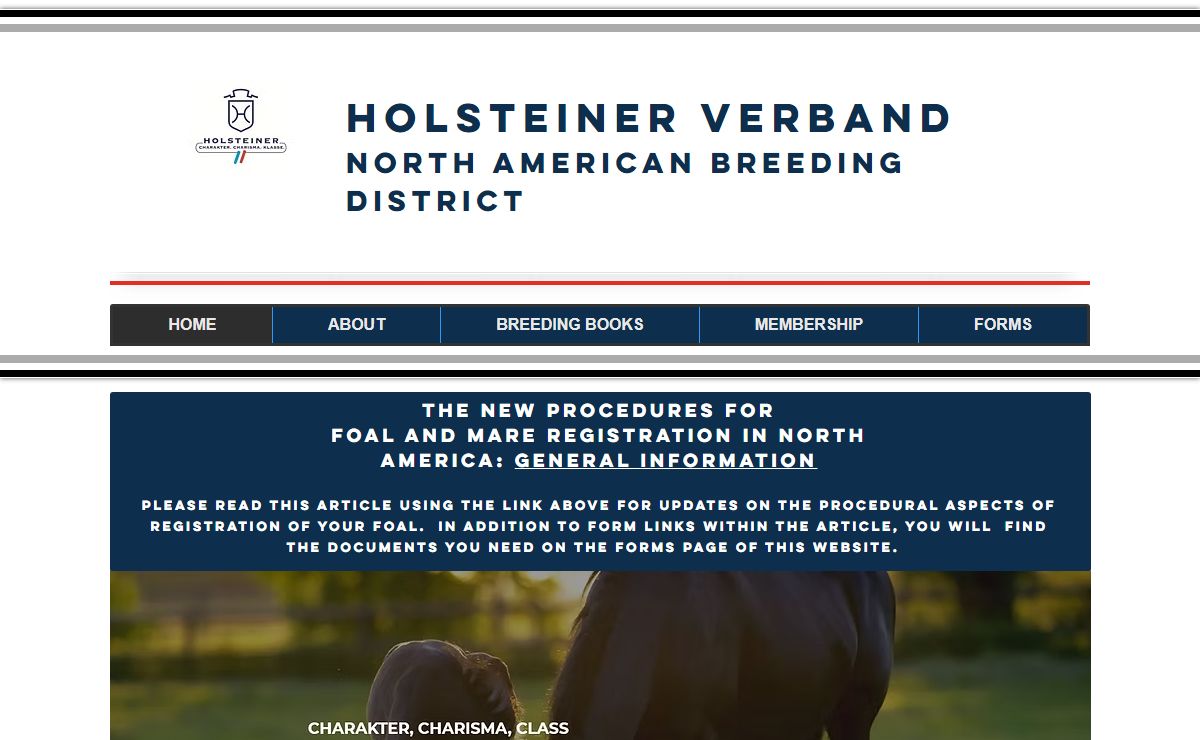 HOME | HolsteinerVerband NA
