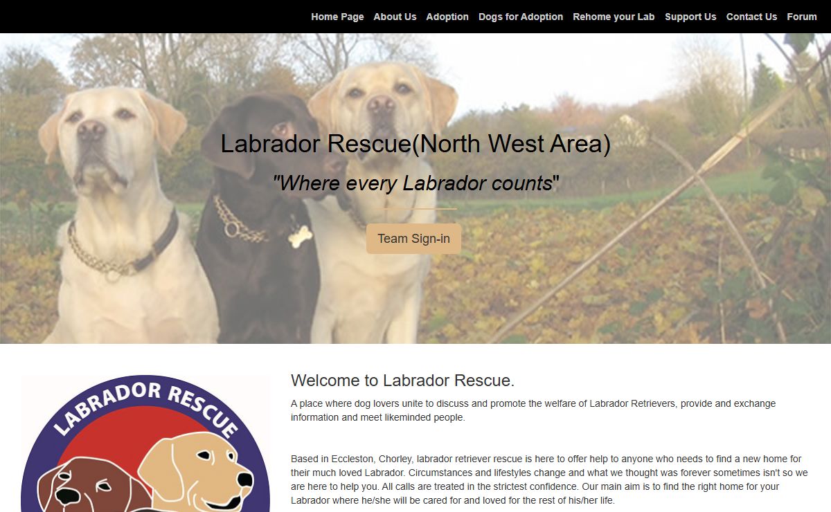 Labrador Rescue (North West Area): Dogs needing a home