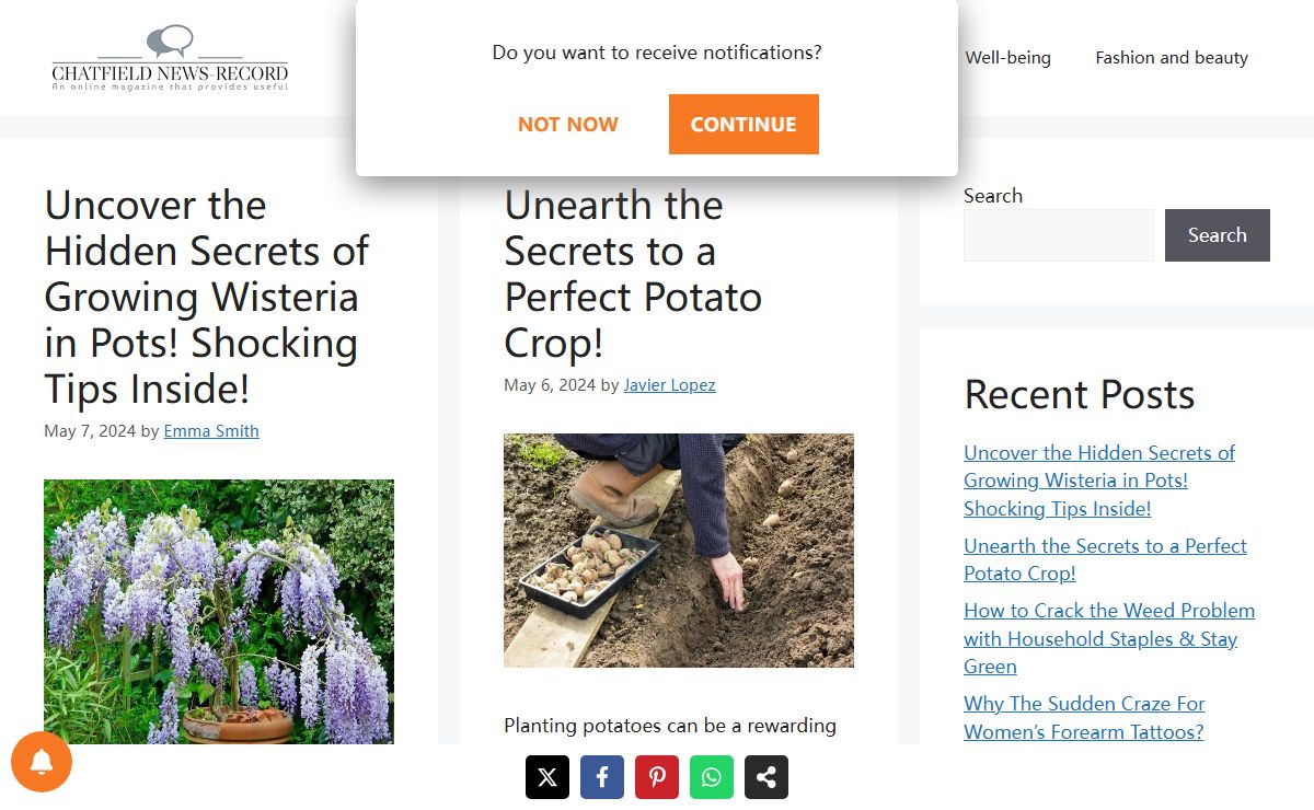Chatfield News-Record - An online magazine that provides useful tips for the home and garden, presents the latest trends in decoration and fashion and offers inspiration on everyday topics.