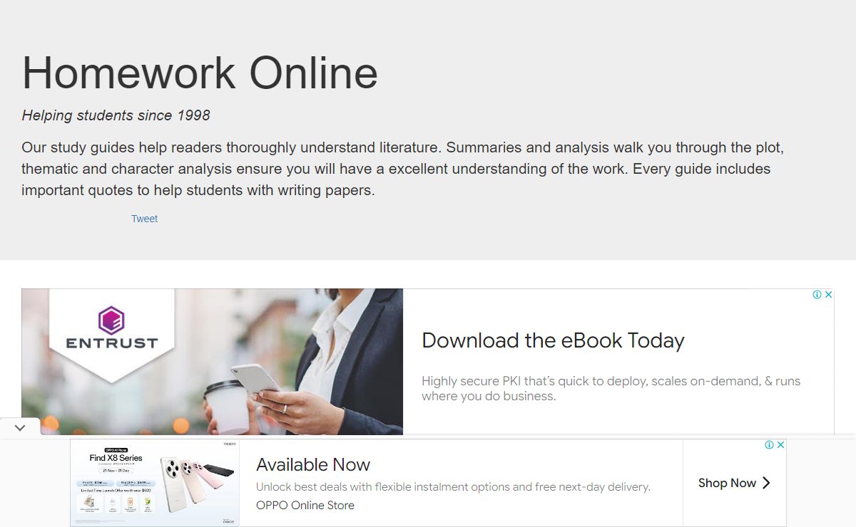 Literature Study Guides | Homework Online