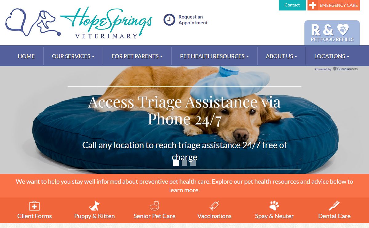 Veterinarian In Virginia Beach Va | Hope Springs Veterinary