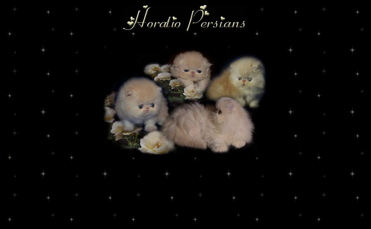 Horatio Persians/index