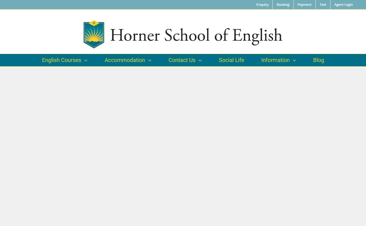 School of English Dublin, English Language Classes for Adults
