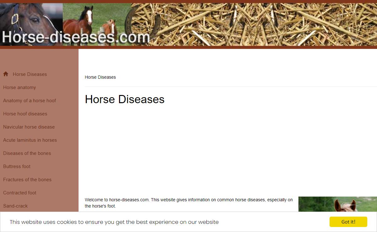 Horse Diseases