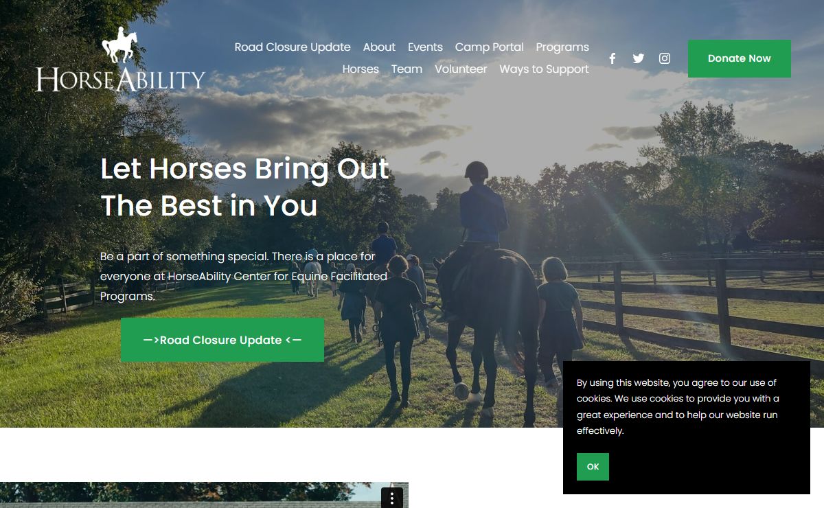 HorseAbility