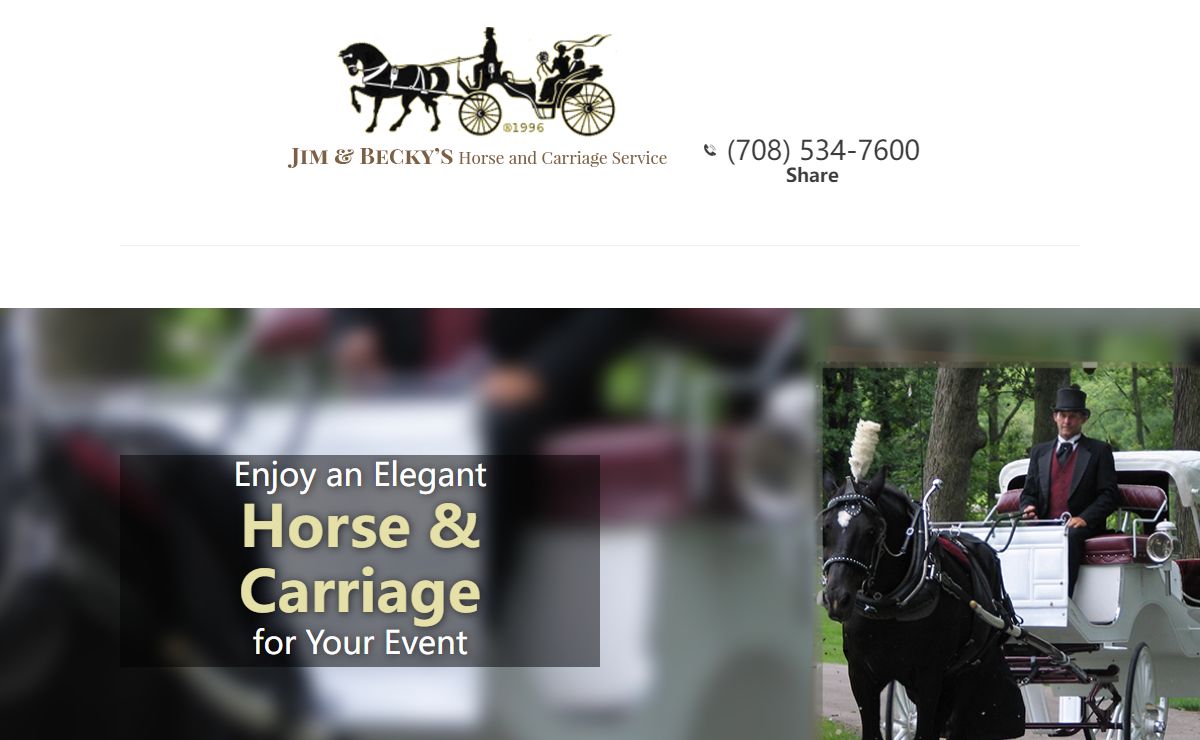 Horse Carriage, Cinderella Carriage, Horse Drawn Hearse | Chicago, IL
