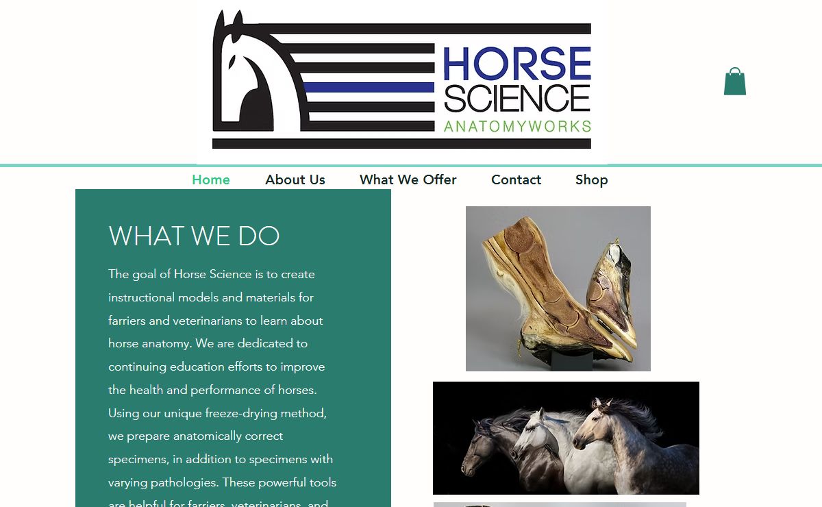 Horse Science AnatomyWorks | Equine anatomy models