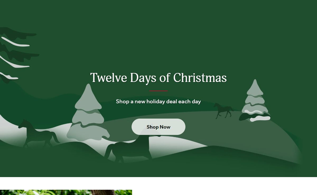 Horseware Ireland ® Official - Shop Equestrian Products Online