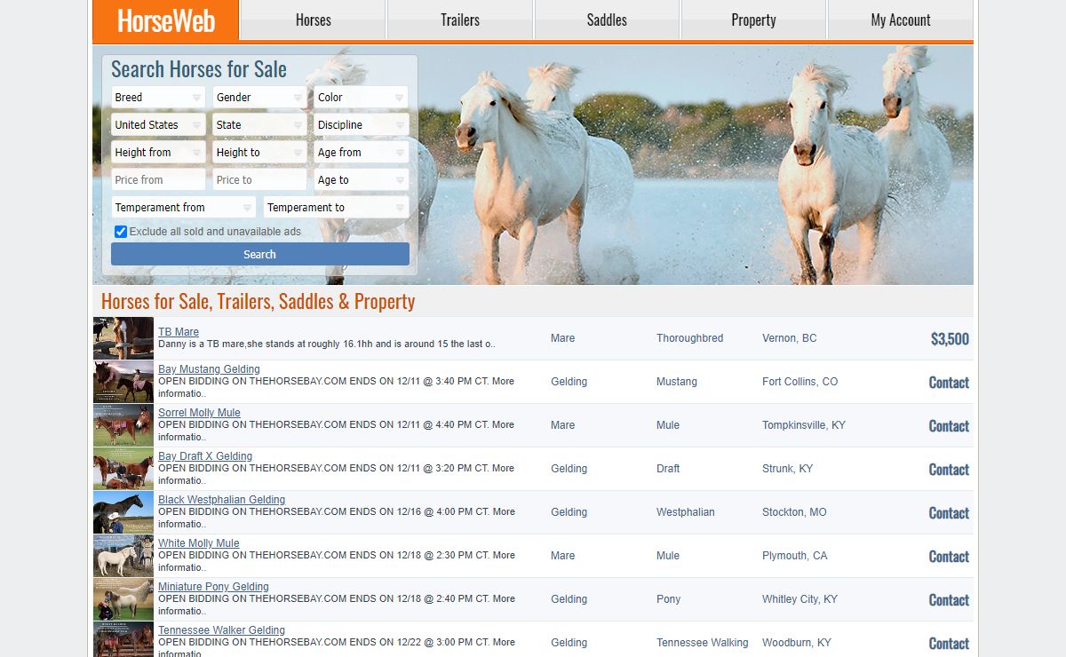 Horses for Sale - HorseWeb