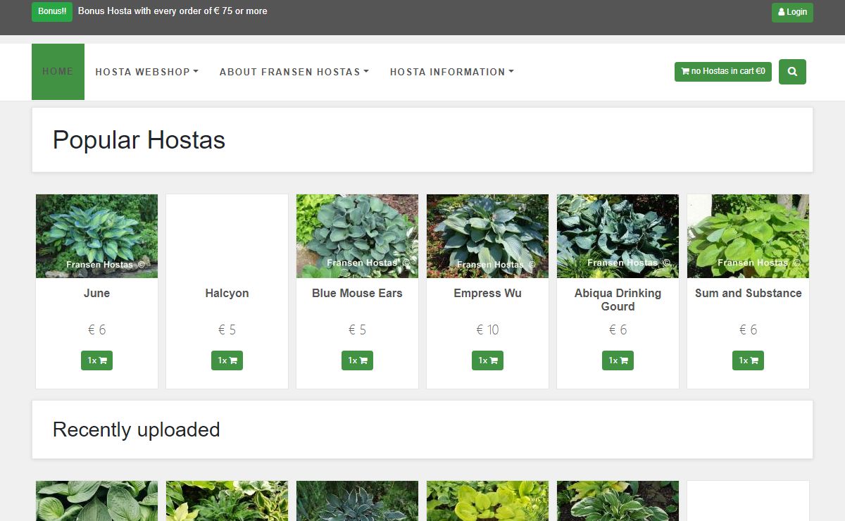 Fransen Hostas, gardening hosta plants perennial nursery