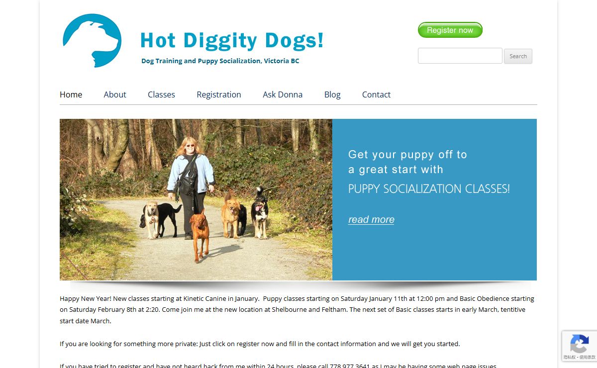 Home of Hot Diggity Dogs, dog training and socialization
