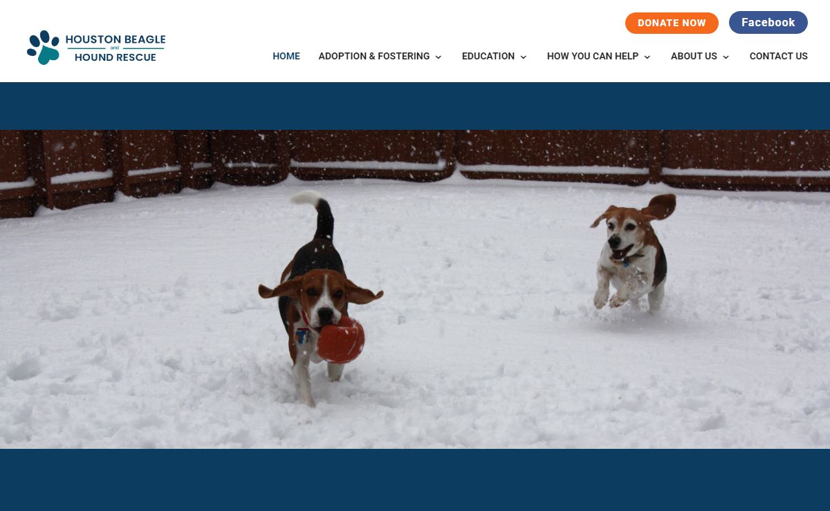 Houston Beagle and Hound Rescue |