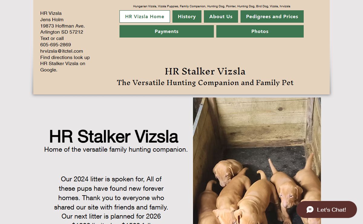 Vizsla | HR Vizsla