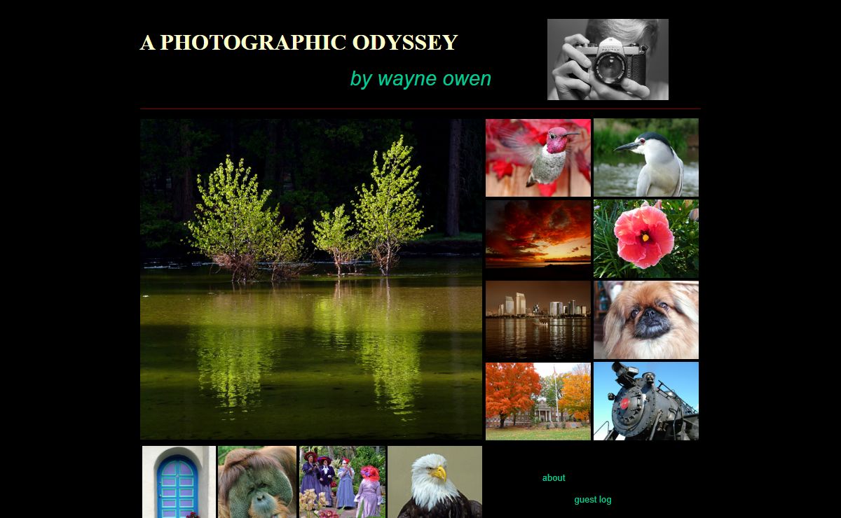 Wayne Owen Photography