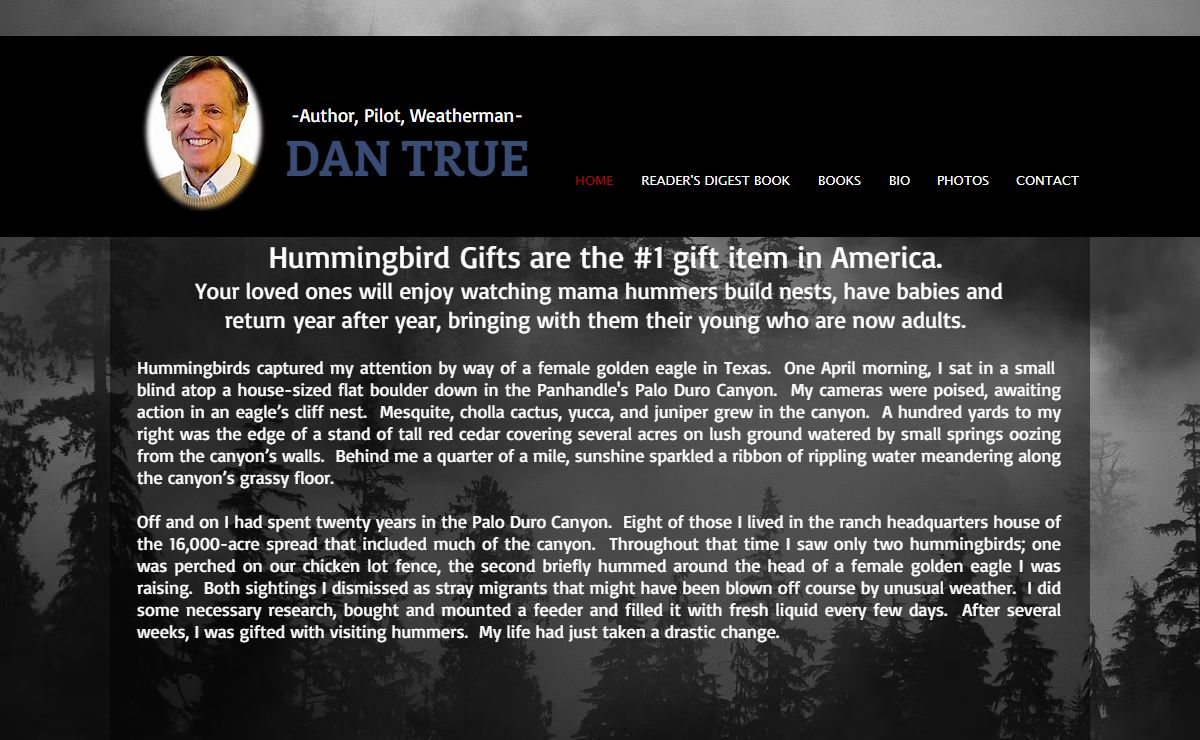 Hummingbird gifts | United States | Hummingbird-House