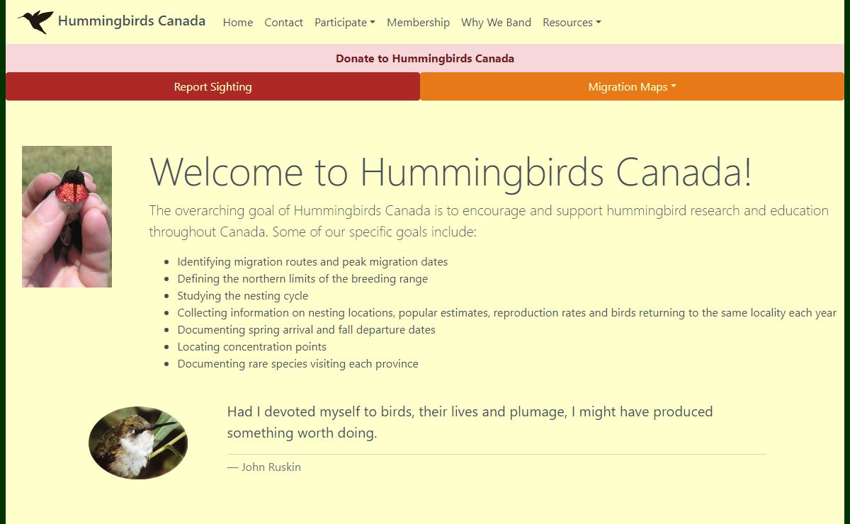 Hummingbirds Canada