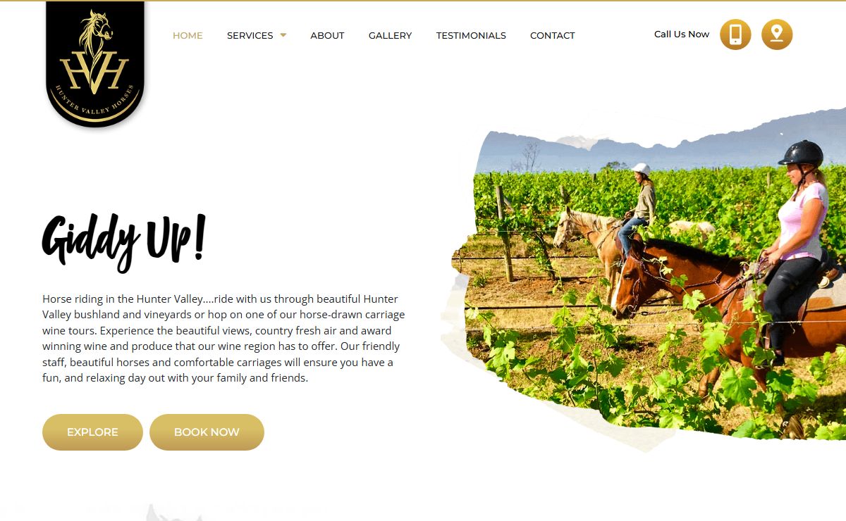 Home - Hunter Valley Horses