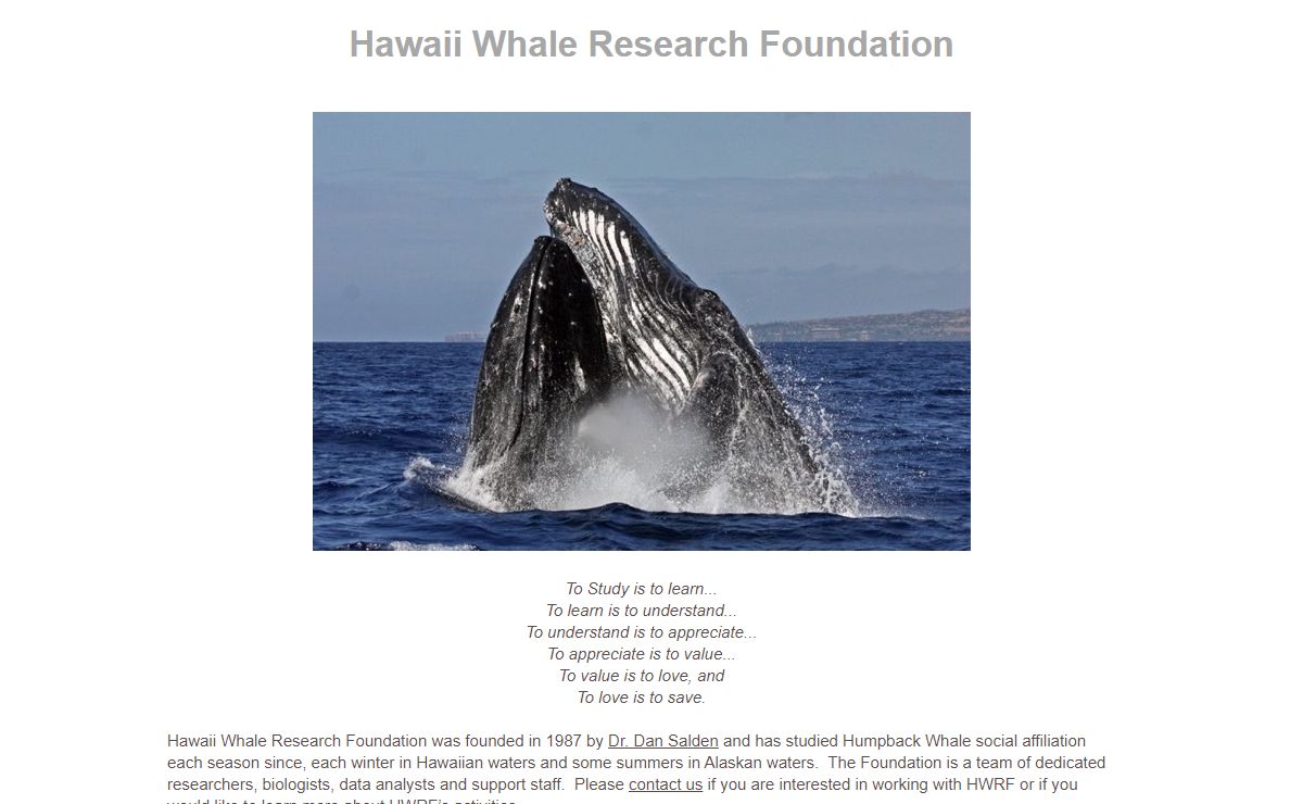 Hawaii Whale Research Foundation
