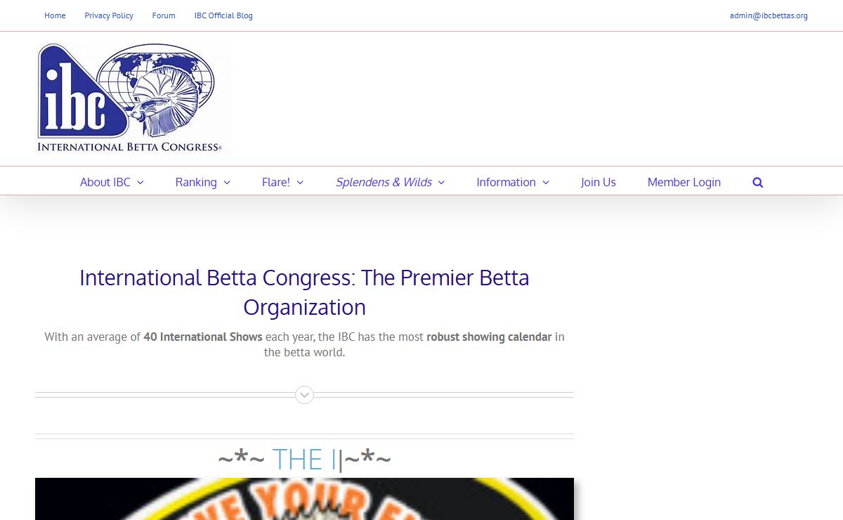International Betta Congress – We keep, breed and show bettas.