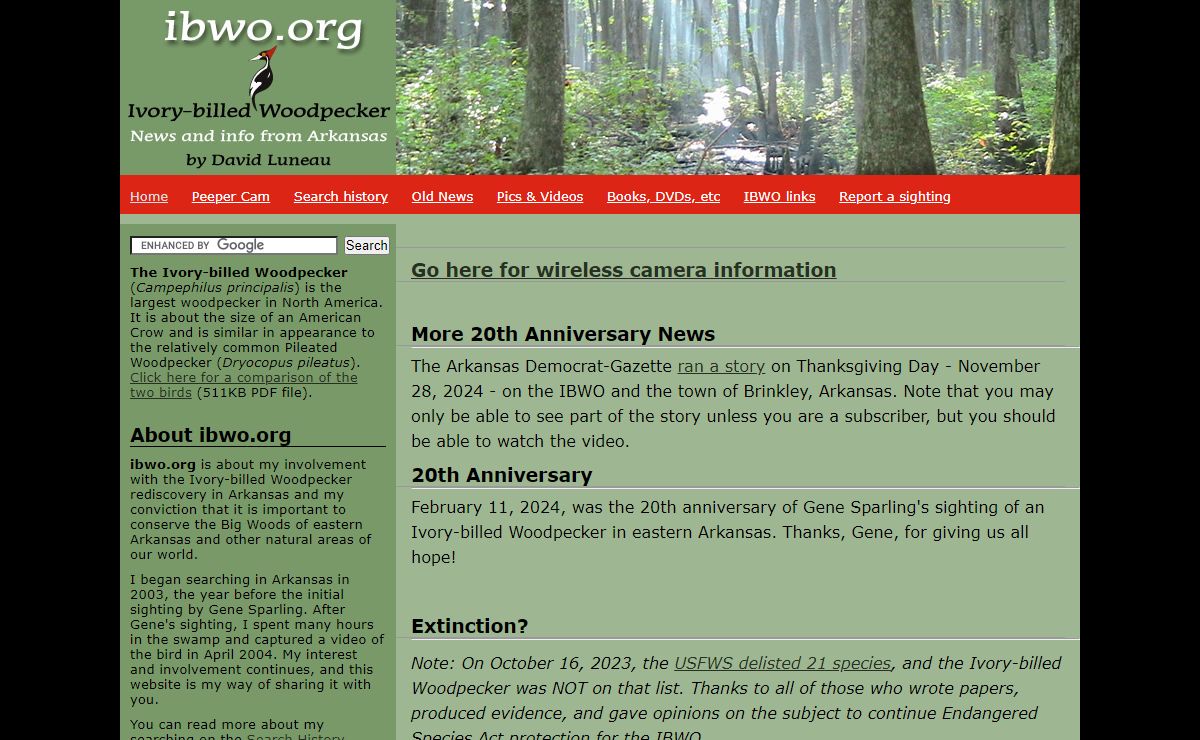 Ivory-billed Woodpecker news and information