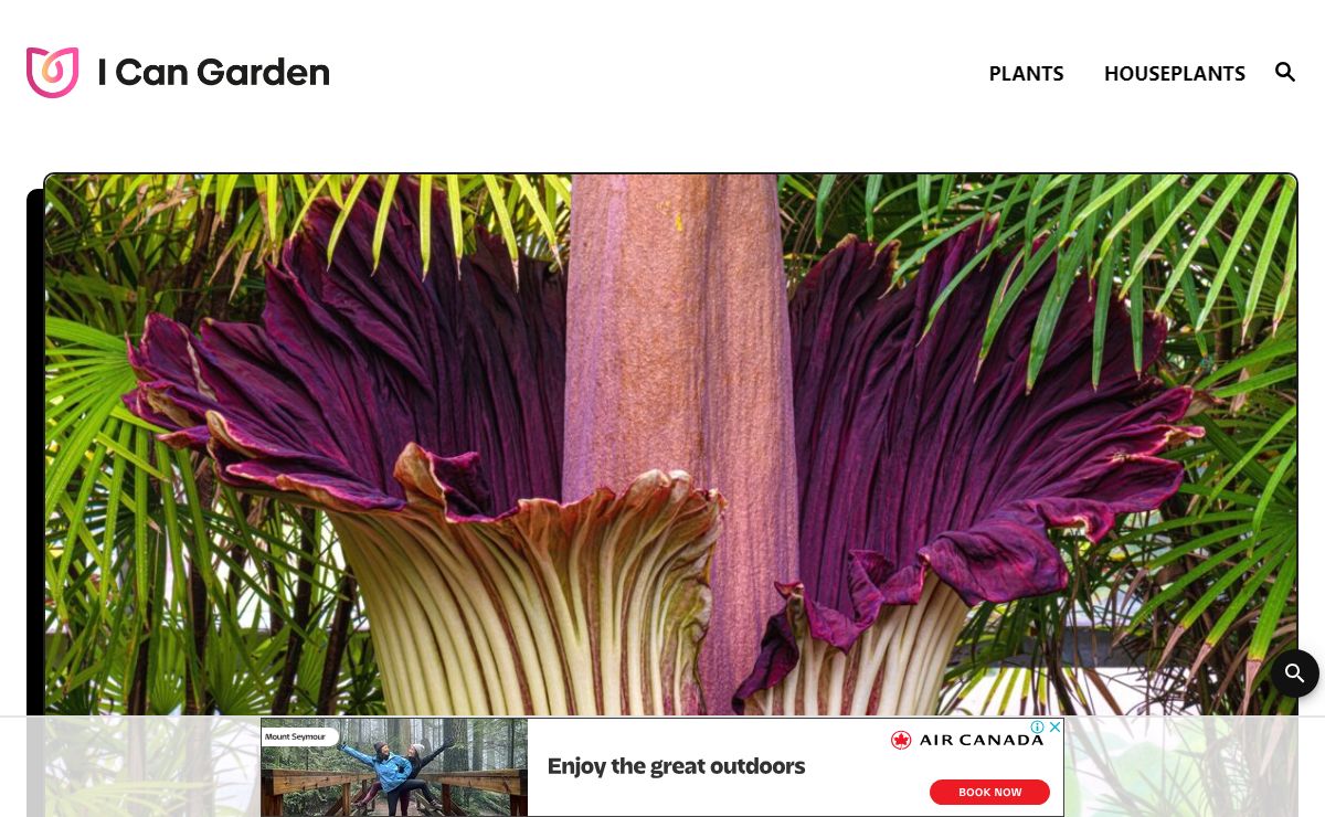 I Can Garden - Horticulture & Gardening Website
