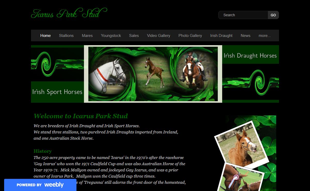 Icarus  Park  Stud - Home