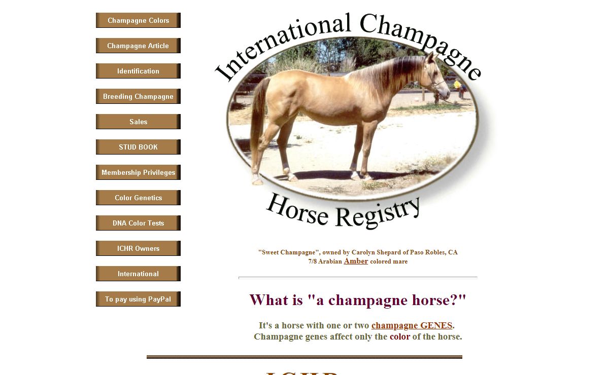 Champagne Horse Color - International Champagne Horse Registry - Information about and Registering Champagne color horses. Breeding for and buying or selling horses with this dilution gene. Education of the public and the equine world about champagne.