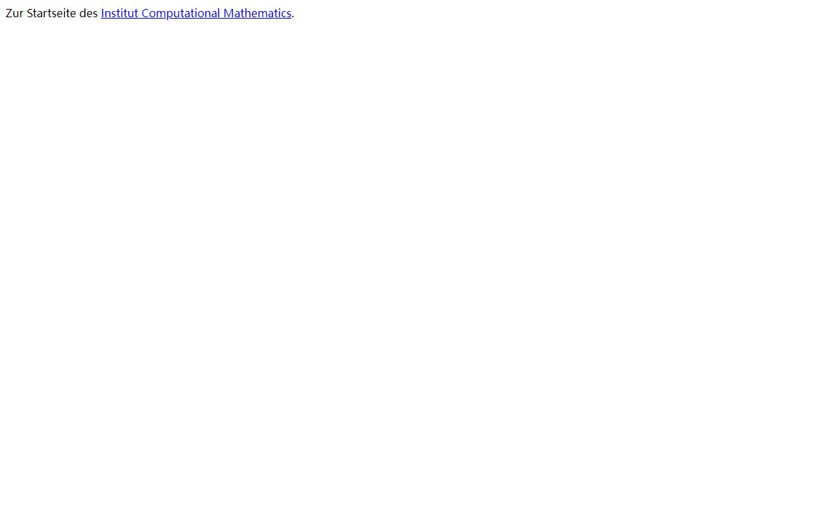 Institut Computational Mathematics