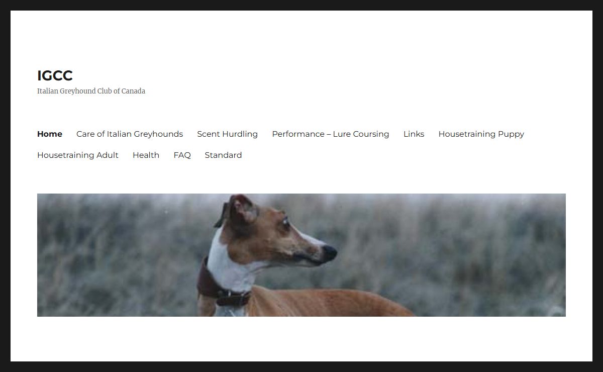 IGCC – Italian Greyhound Club of Canada