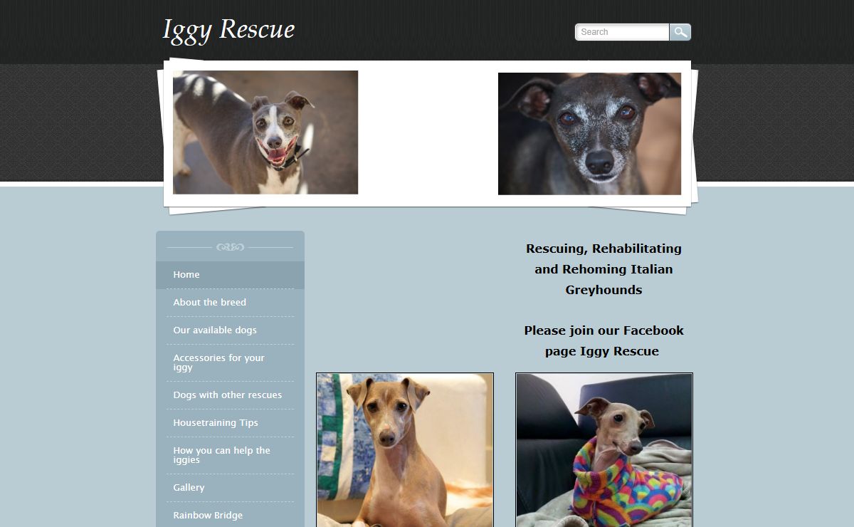iggy rescue - Home