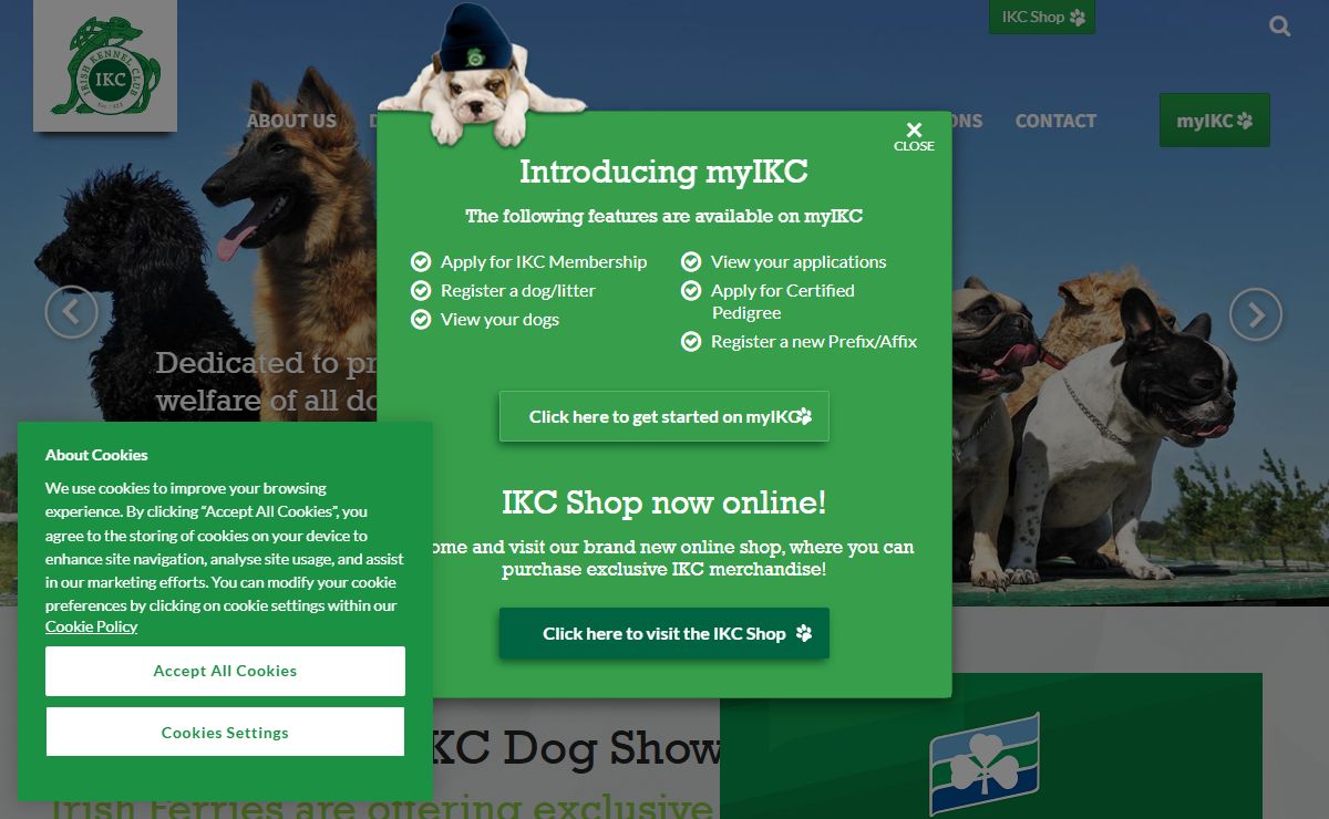 Home | The Irish Kennel Club