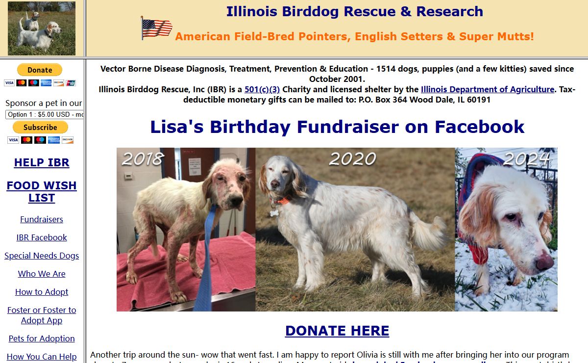 Illinois Birddog Rescue