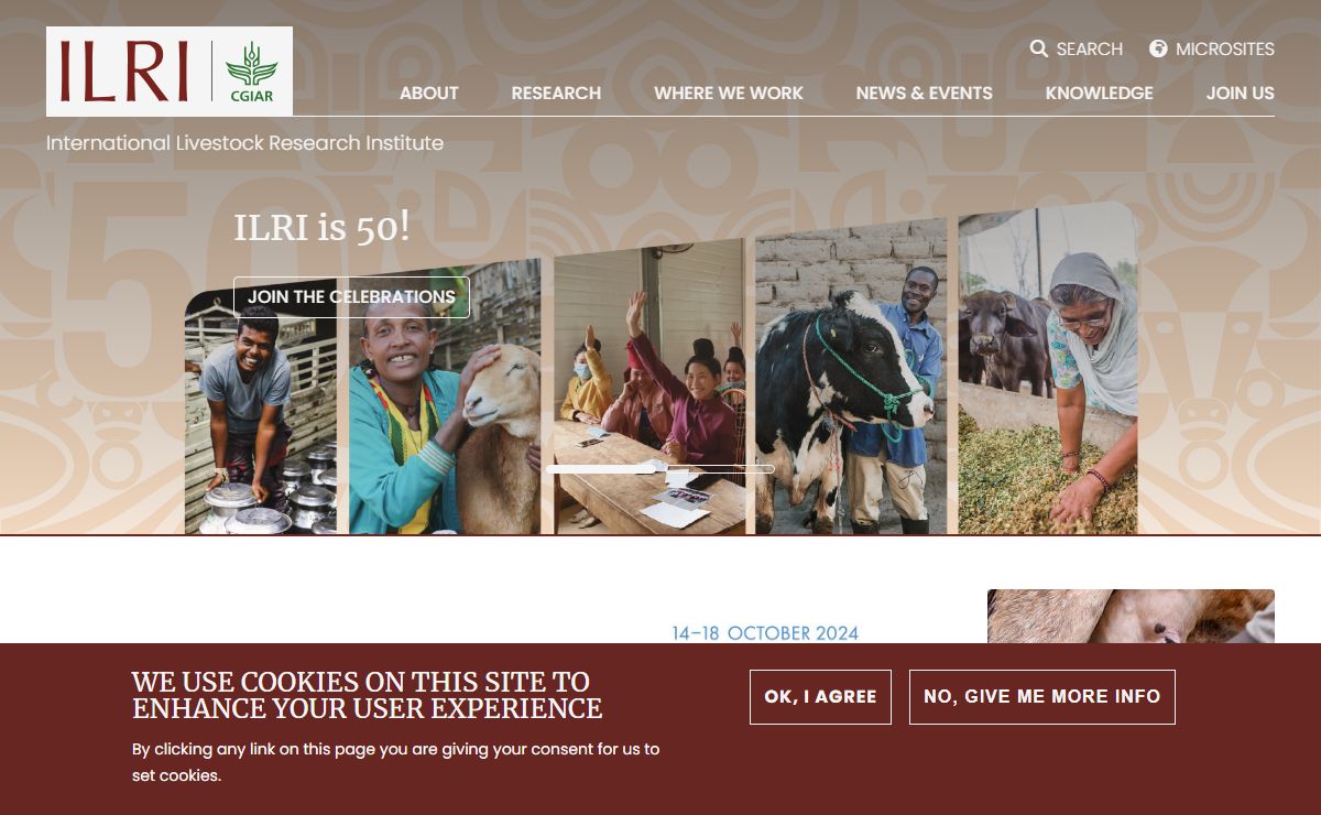 Homepage