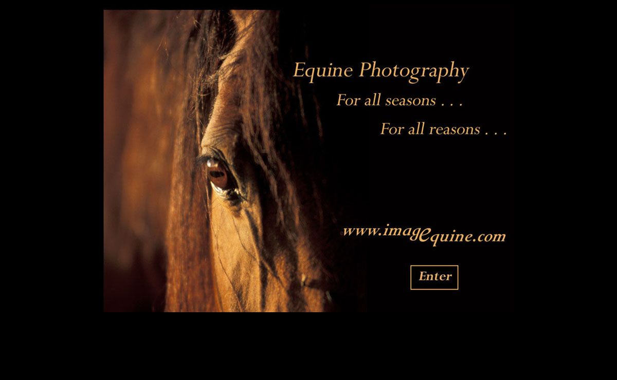 Equine Photography by Carien Schippers